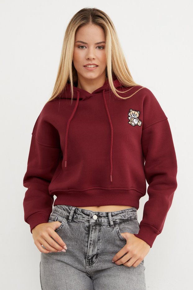 3-Thread Teddy Bear Embroidered Hooded Sweatshirt - Burgundy